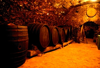 Vinovin