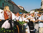 Vinobranie (@ Foto: Ján Štrba)
