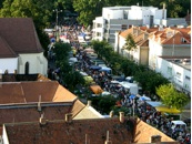 Vinobranie