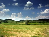 Rozálka