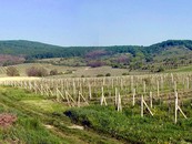Panoráma - vinohrady