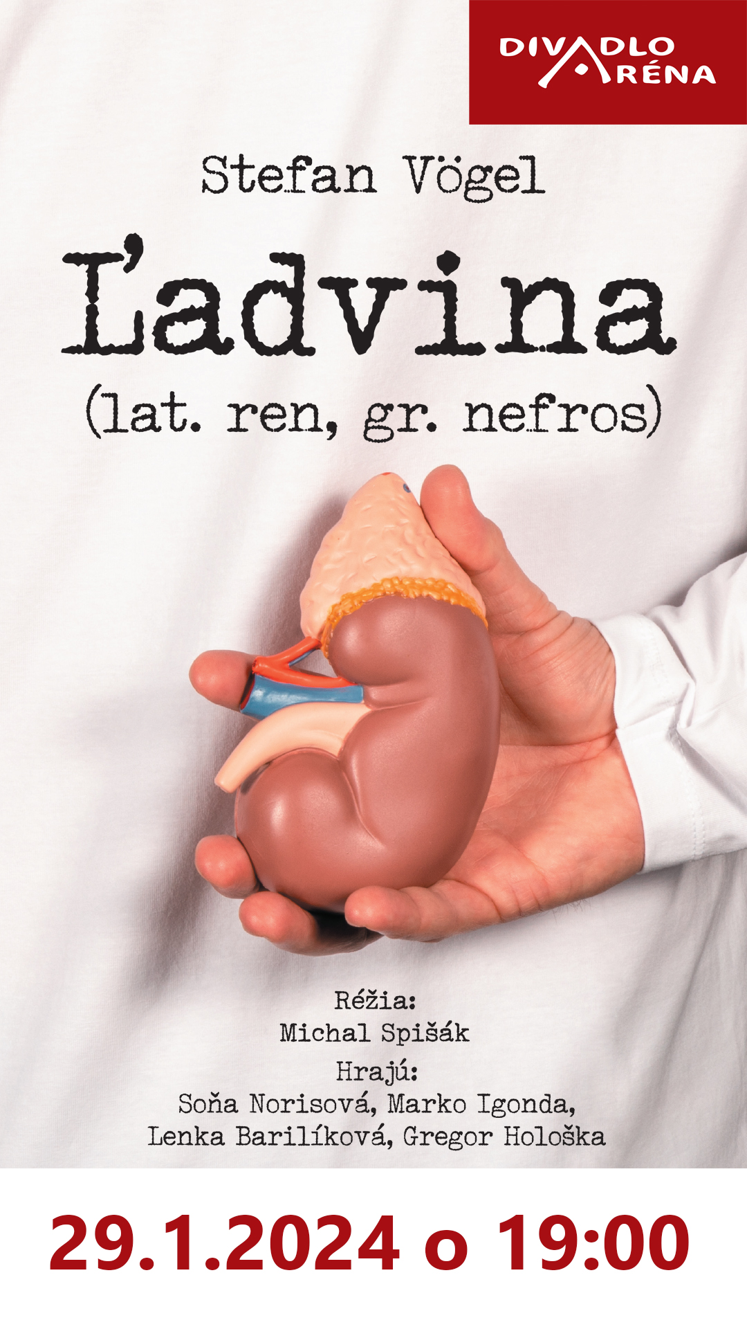 Ľadvina