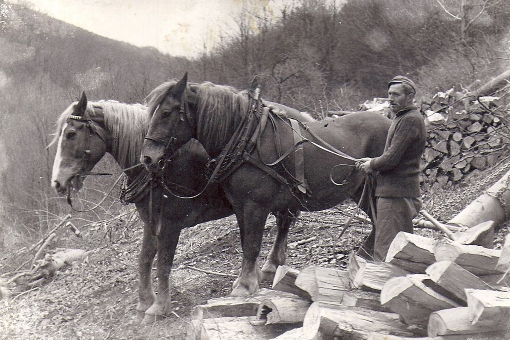 Huncokári pod Pezinskou Babou