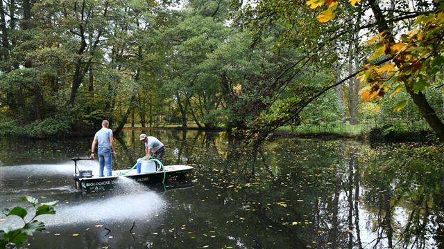Mesto čistí jazierko v Zámockom parku ekologickou formou   