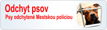 Odchyt psov