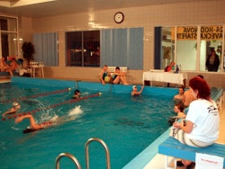 Plavecká štafeta 2008; foto: Roman Farkaš