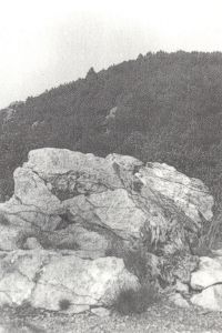Medvedia skala